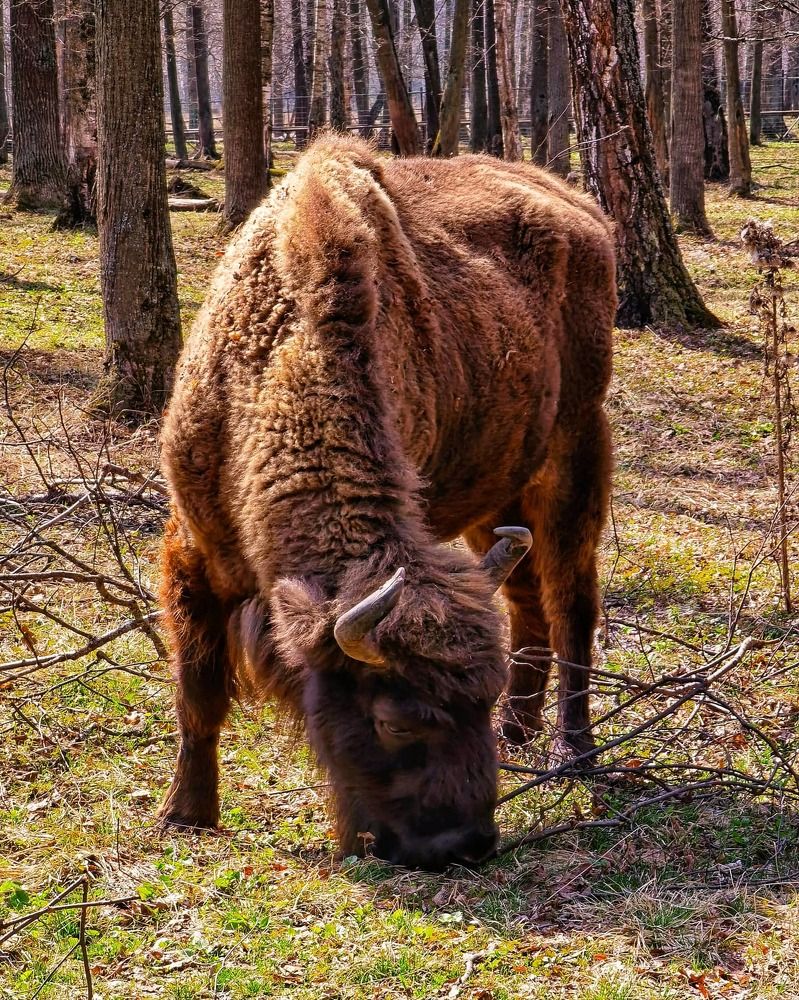 Photograph by Олика