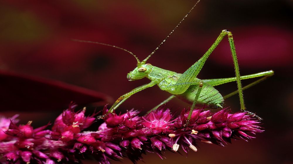 Photograph by Bekir Yesiltas