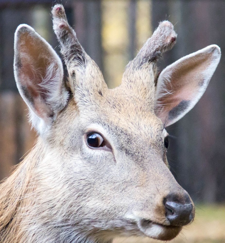 Photograph by Вадим Басов