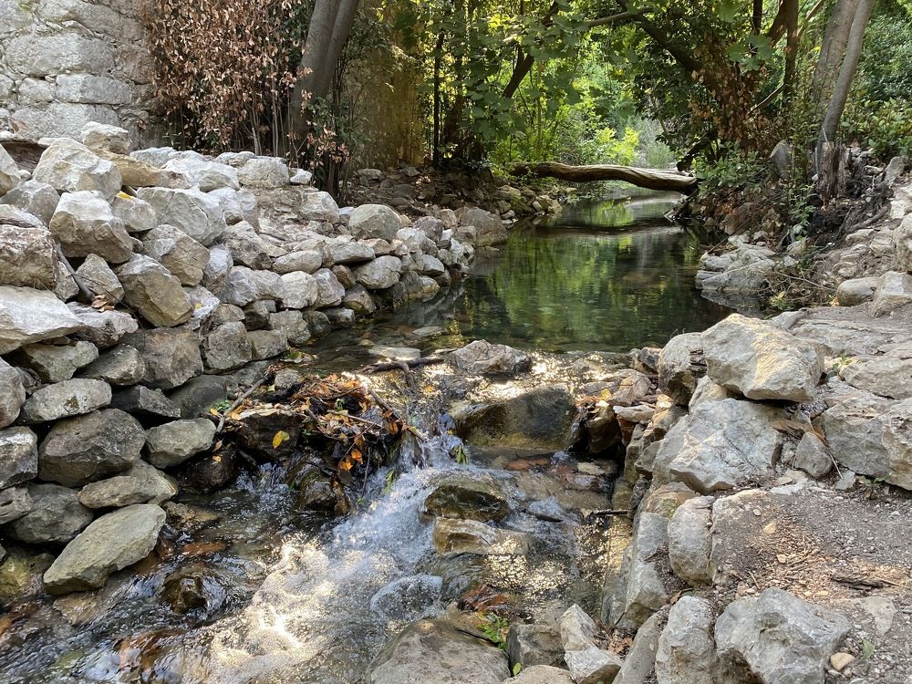 Photograph by Юлия Кучерова