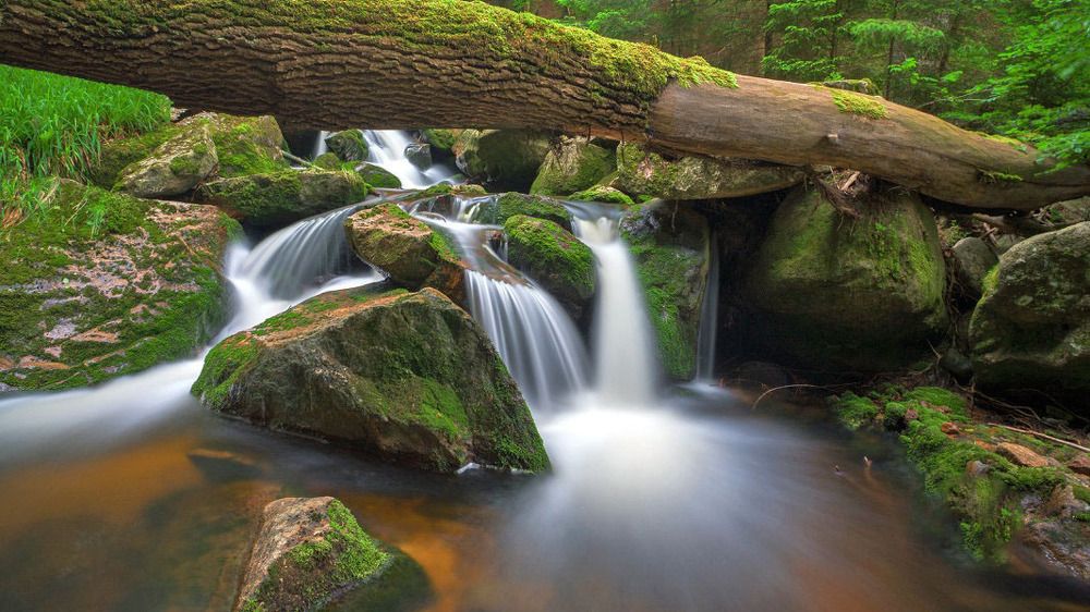 Photograph by ali bakhshi