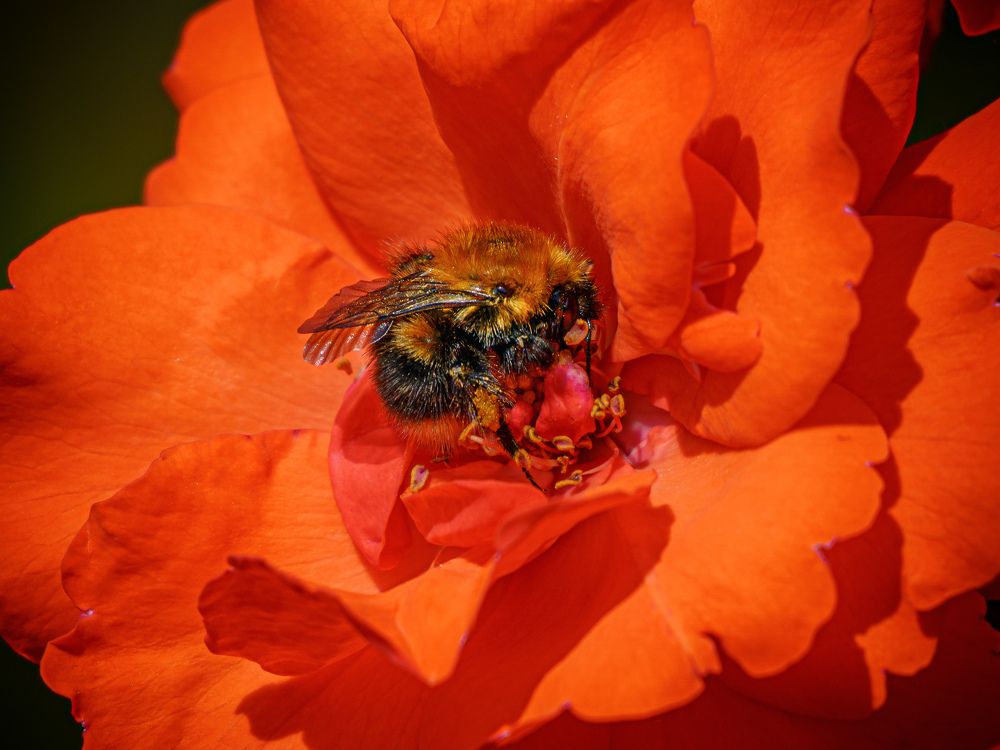 Photograph by Valdis Serzhans