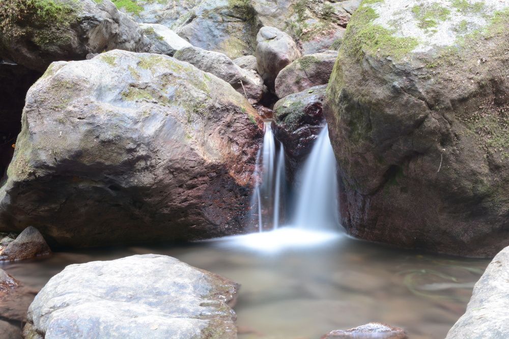 Photograph by soltanii setareh