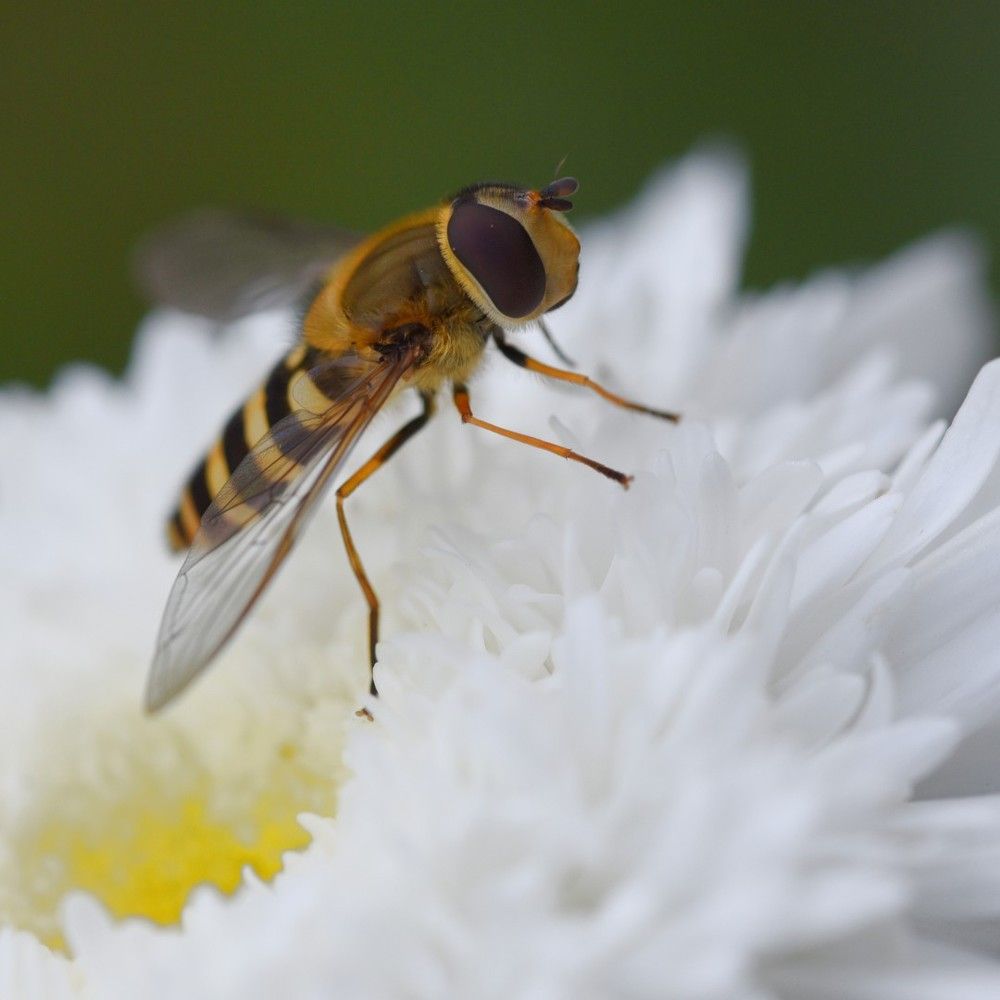 Photograph by Андрей Андрюшин