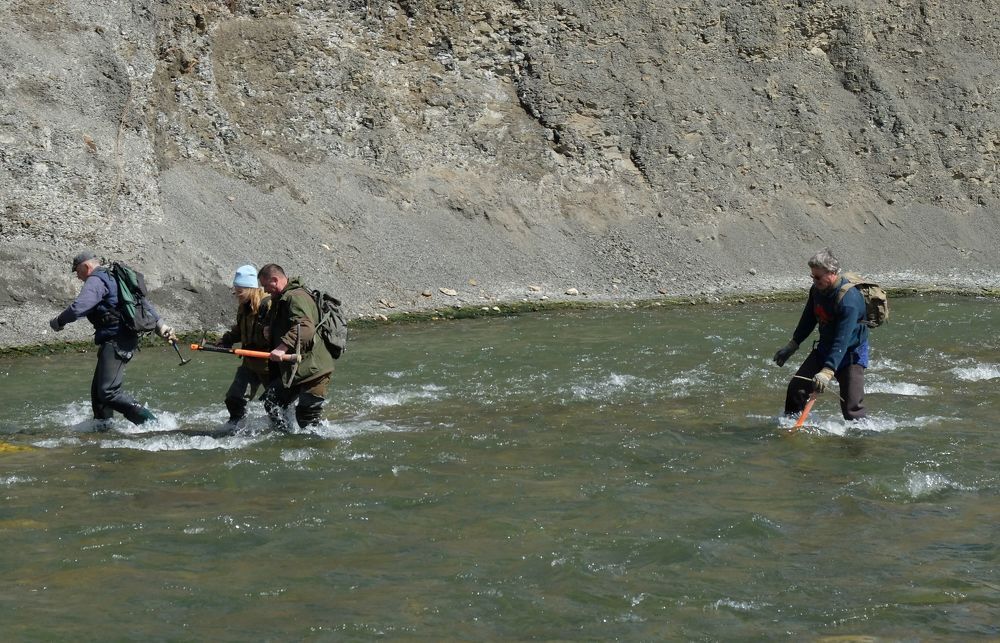 Photograph by Ираида Стародубцева