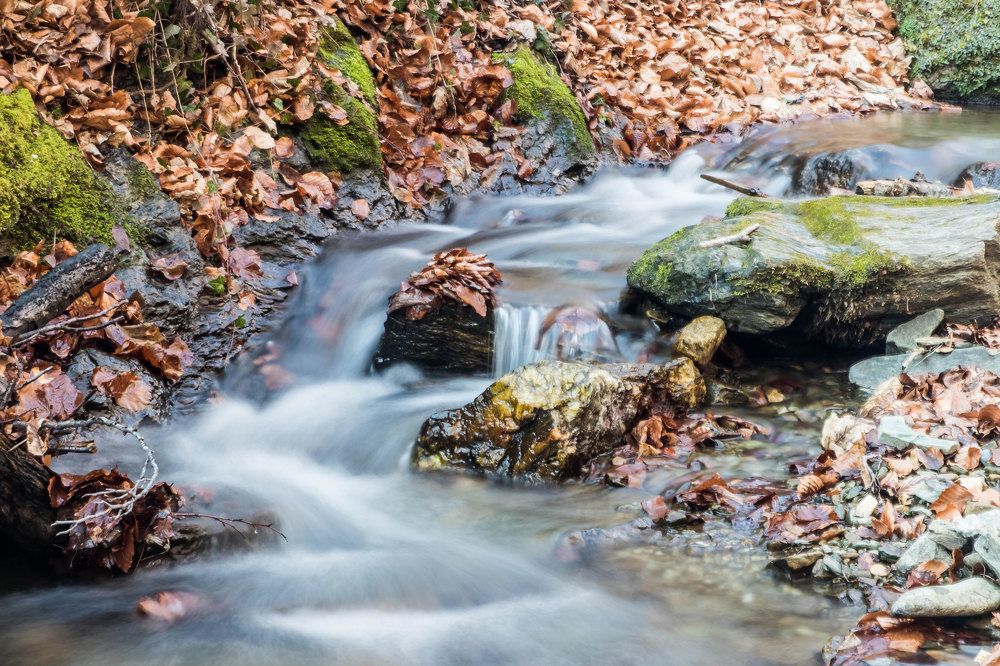 Фотография автора Suzana Svecnjak