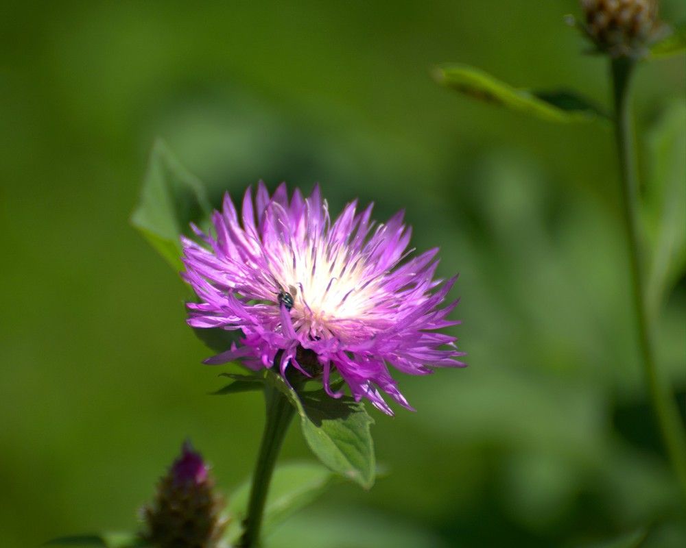 Photograph by Андрей Андрюшин