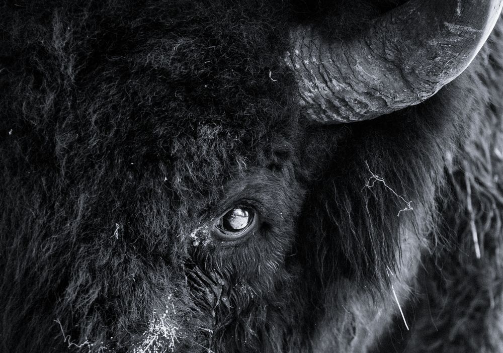 Photograph by Артём Пряхин