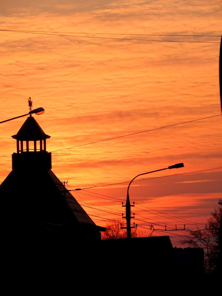 Photograph by Анастасия Моисеева