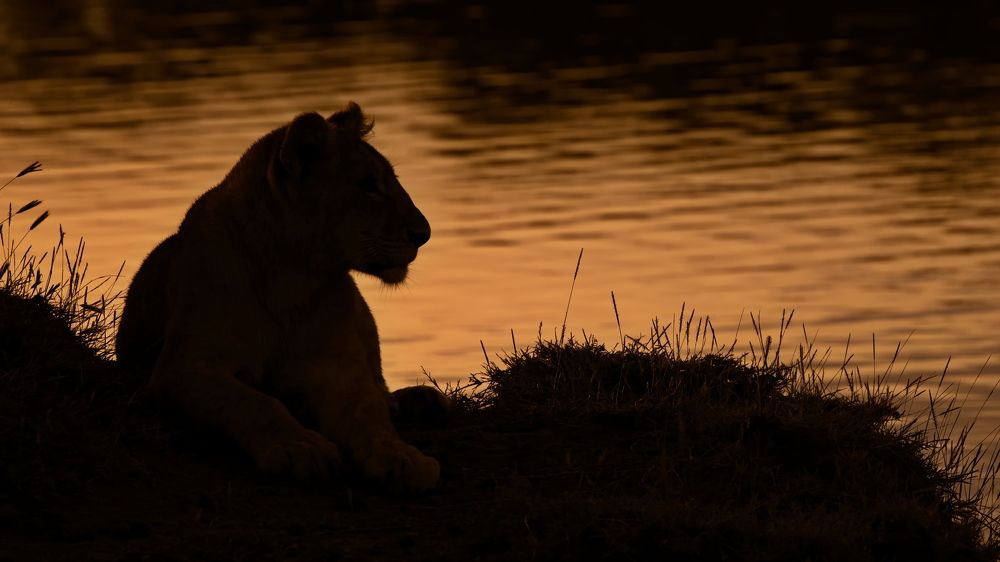 Вечерний настрой