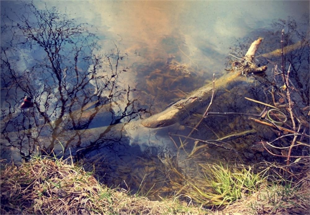 Photograph by Анастасия Моисеева