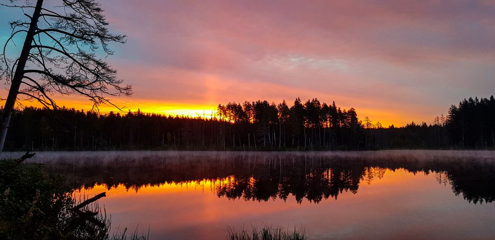 Photograph by Алёна Губинская