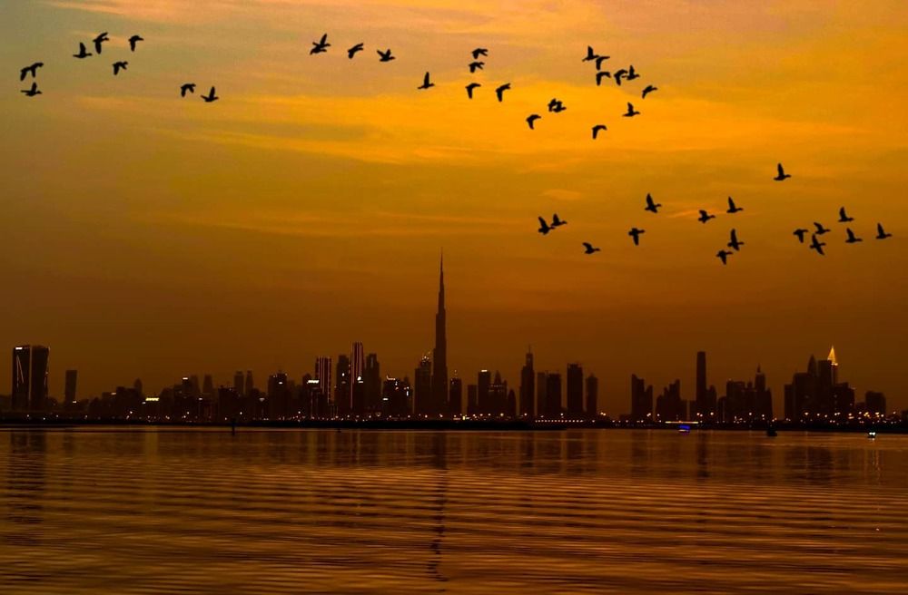 Dubai Skyscraper- Sunset