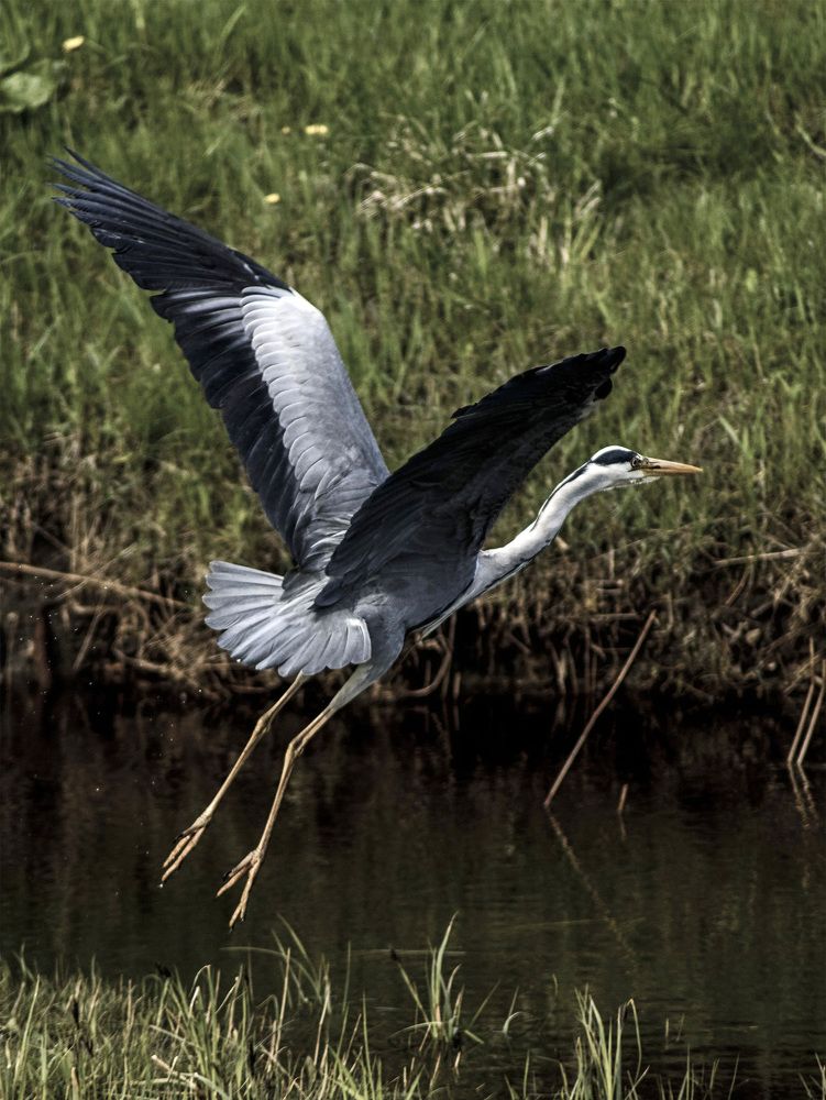 Photograph by Raivo Kremer