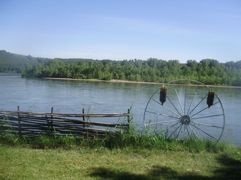 Photograph by Маргарита Юрьевна Храброва