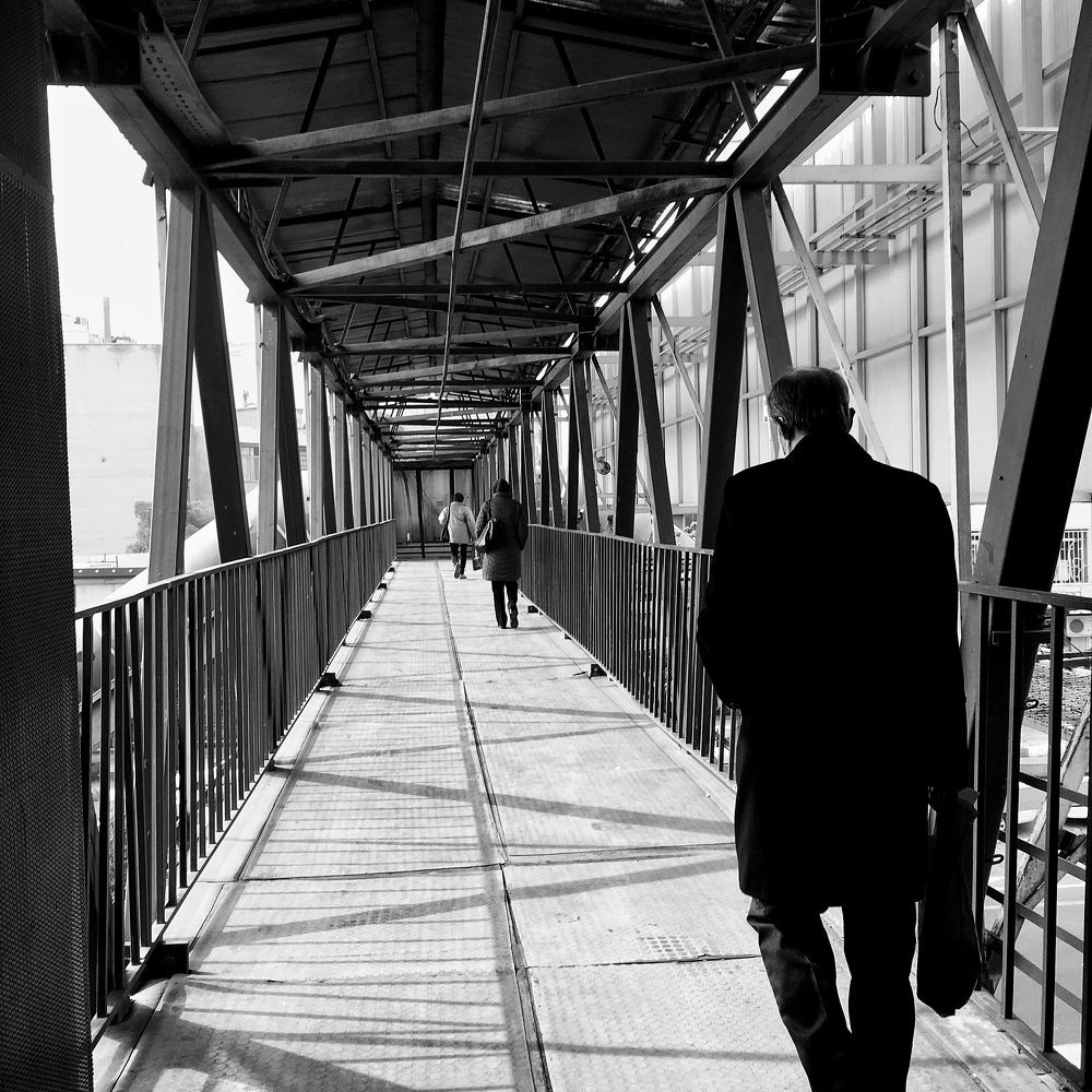Photograph by reza mohammadi