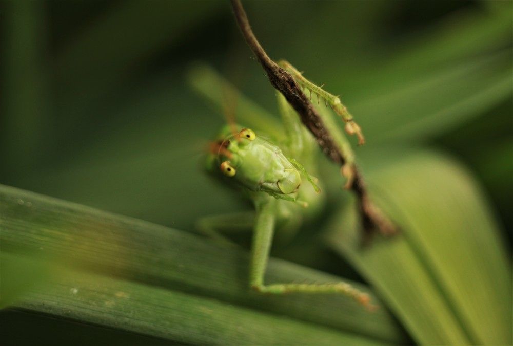 Photograph by Анастасия Рысь