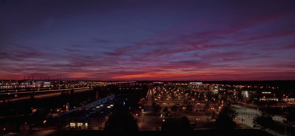 Photograph by Dani Wieczorek