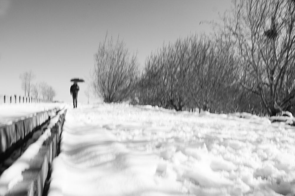 Photograph by Mahta Heidaripour