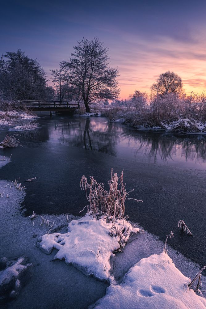 Фотография автора Michał Tomczak