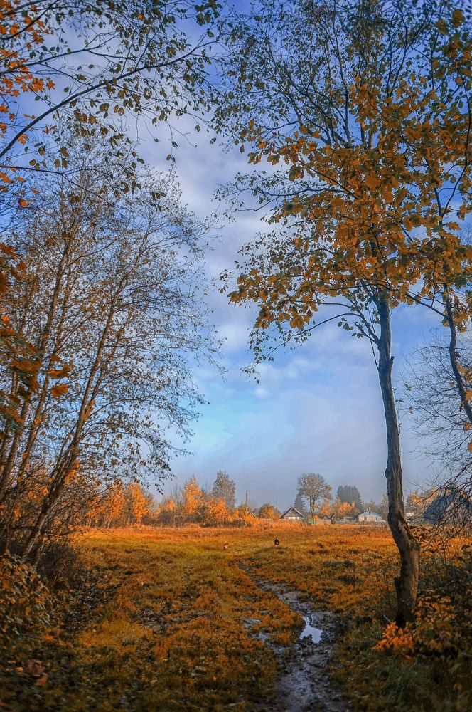 Photograph by Татьяна Шандромайло