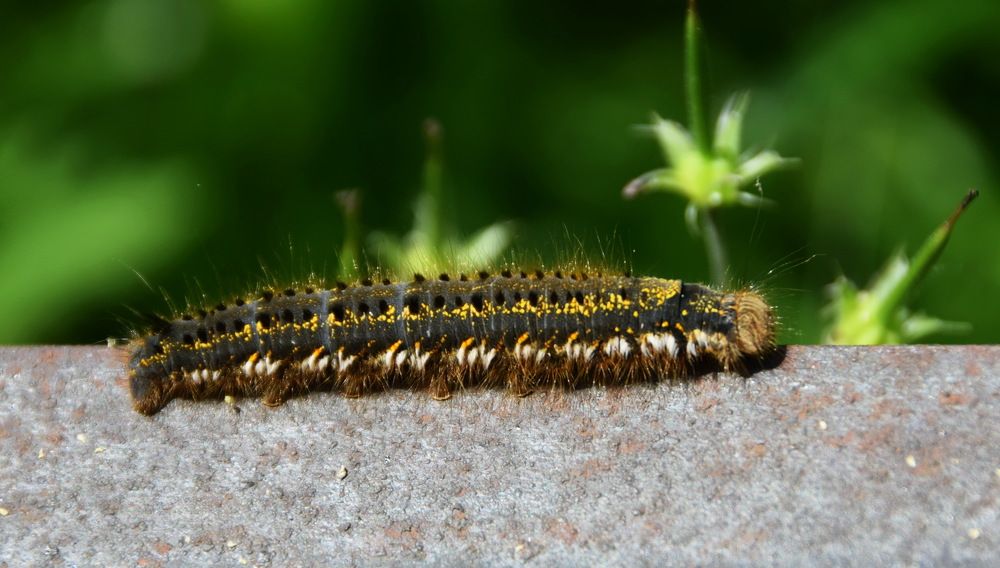 Photograph by Galina Leskova