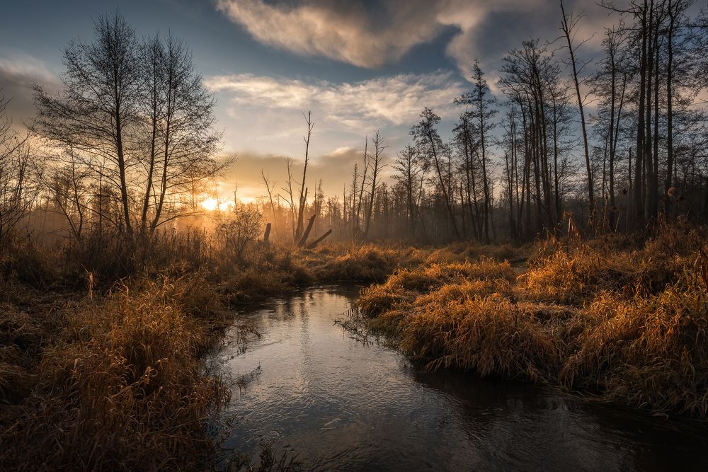 Фотография автора Michał Tomczak