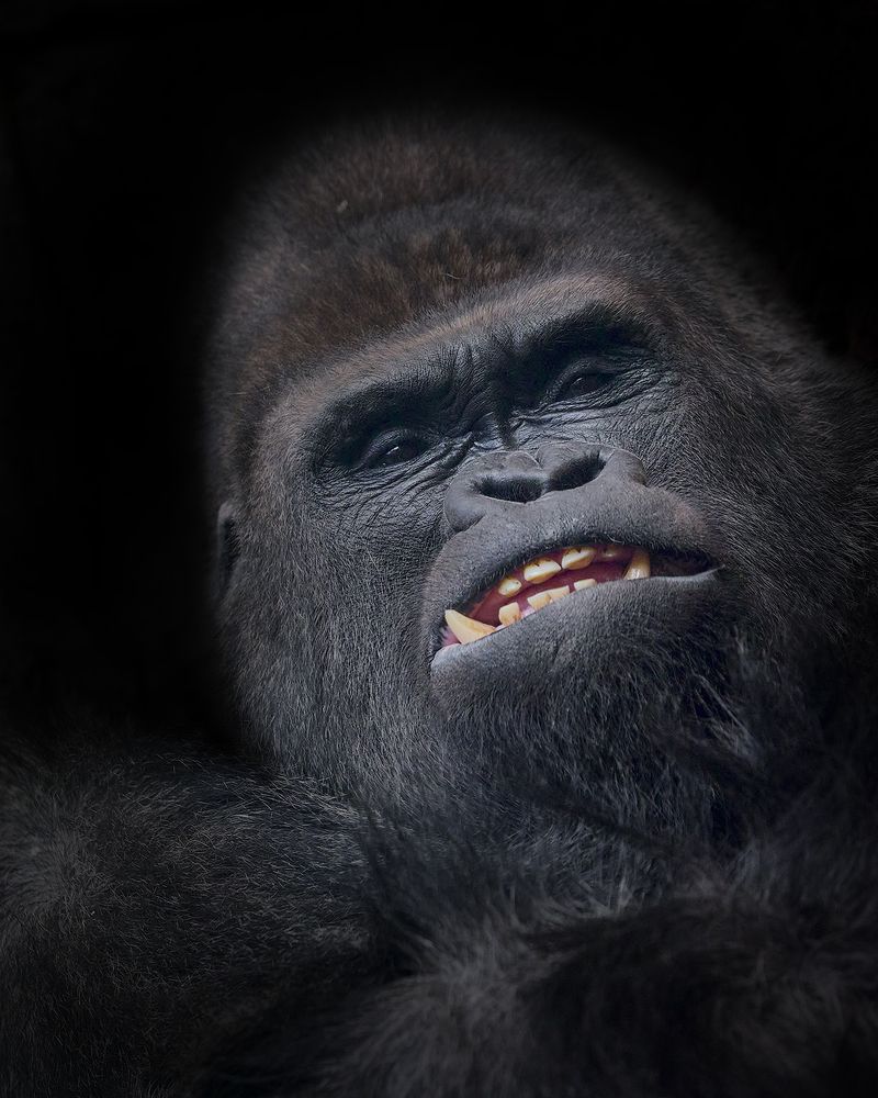 Photograph by García Huertas Helena