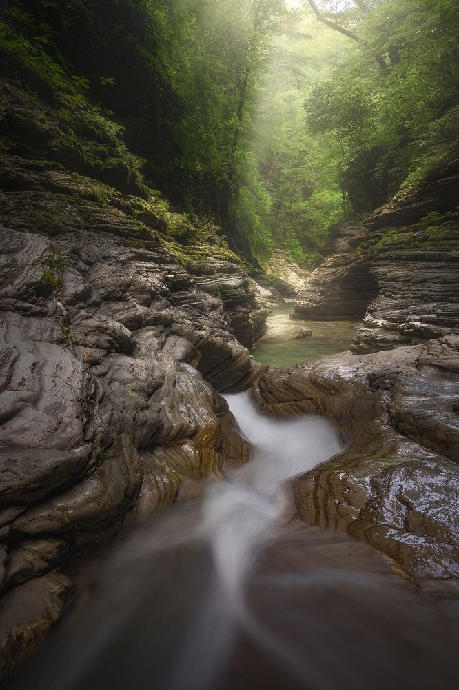 Photograph by Александр Дударев