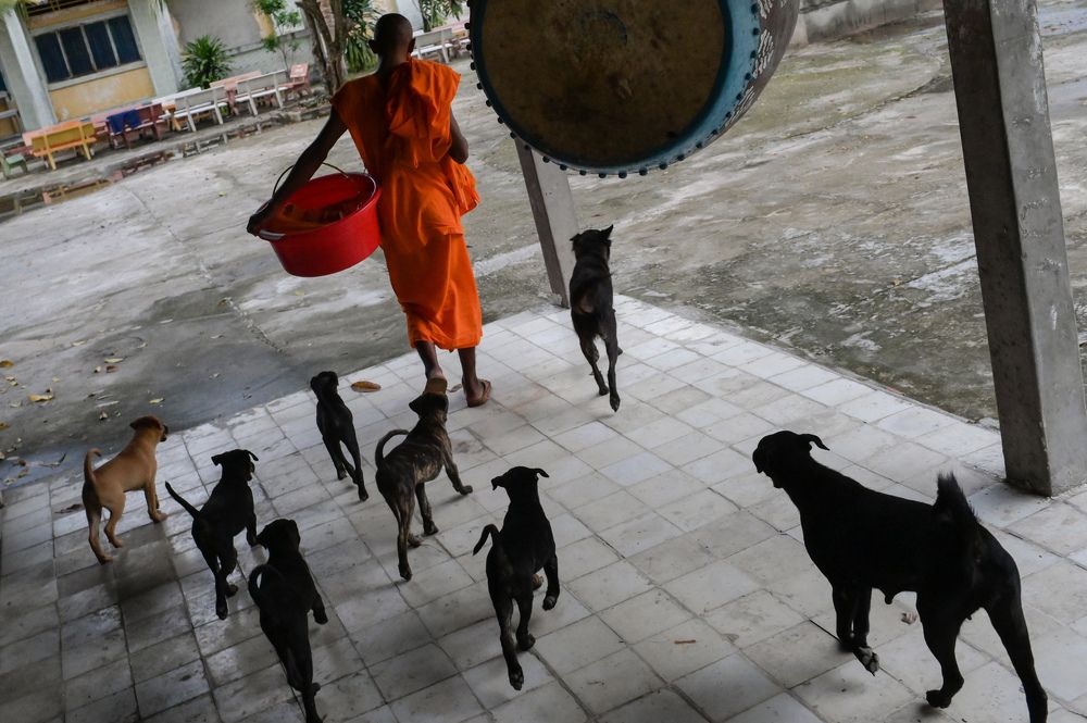 Photograph by ri hua