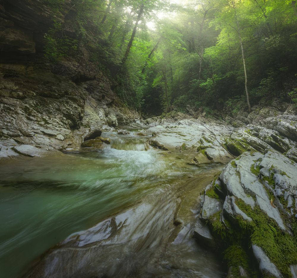 Photograph by Александр Дударев