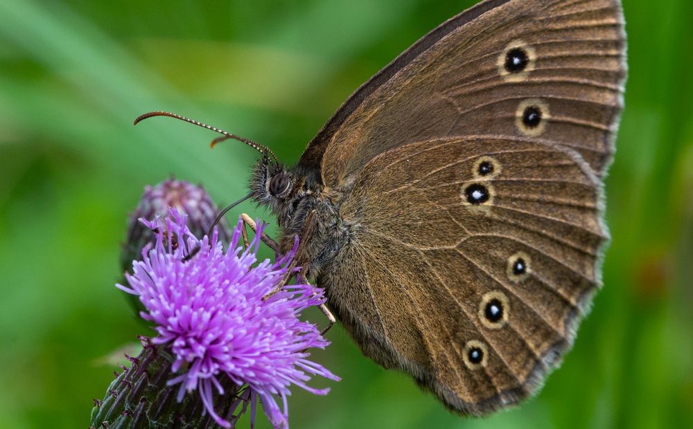 Photograph by Дмитрий Крючков