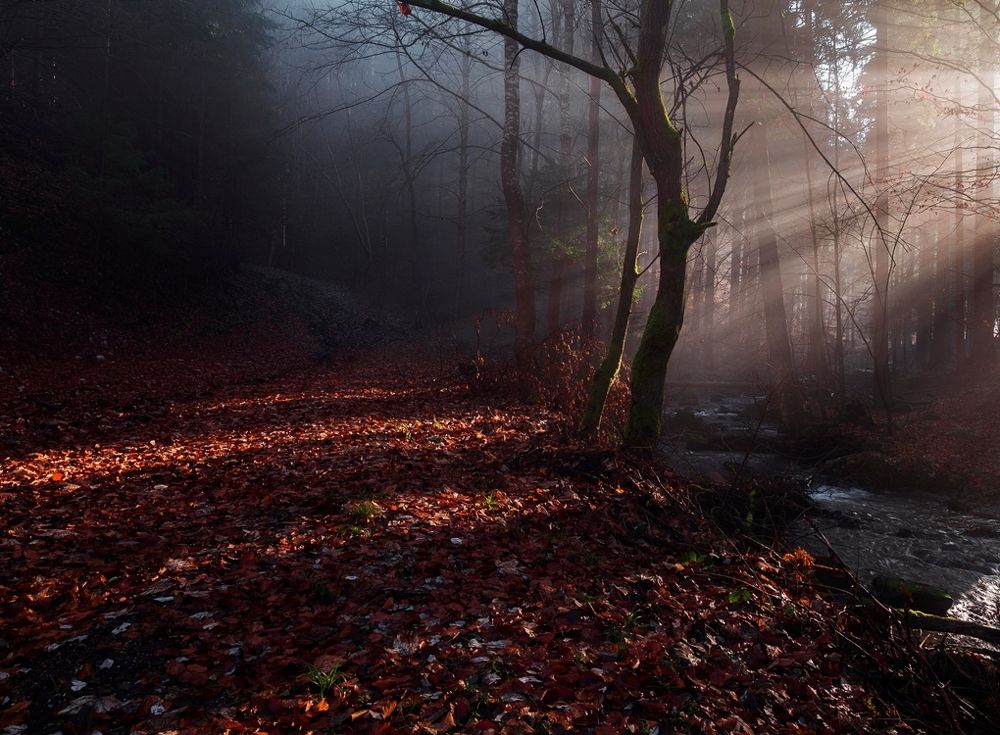 Фотография автора Tomas Kozel