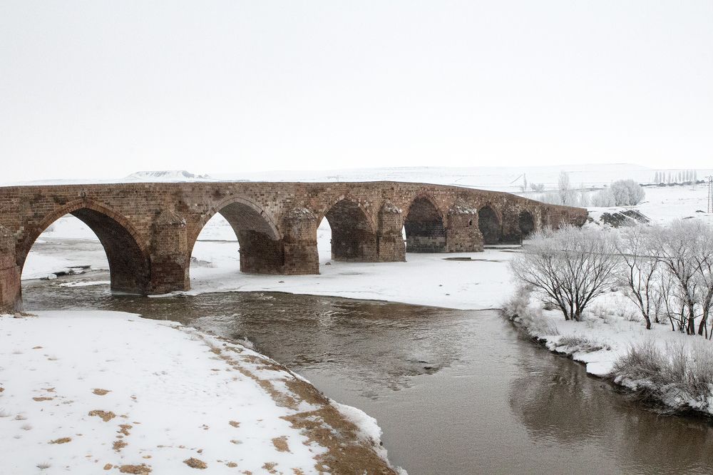 Фотография автора senol zumrut