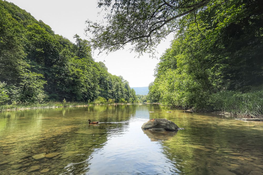 Photograph by Владимир Кульбит