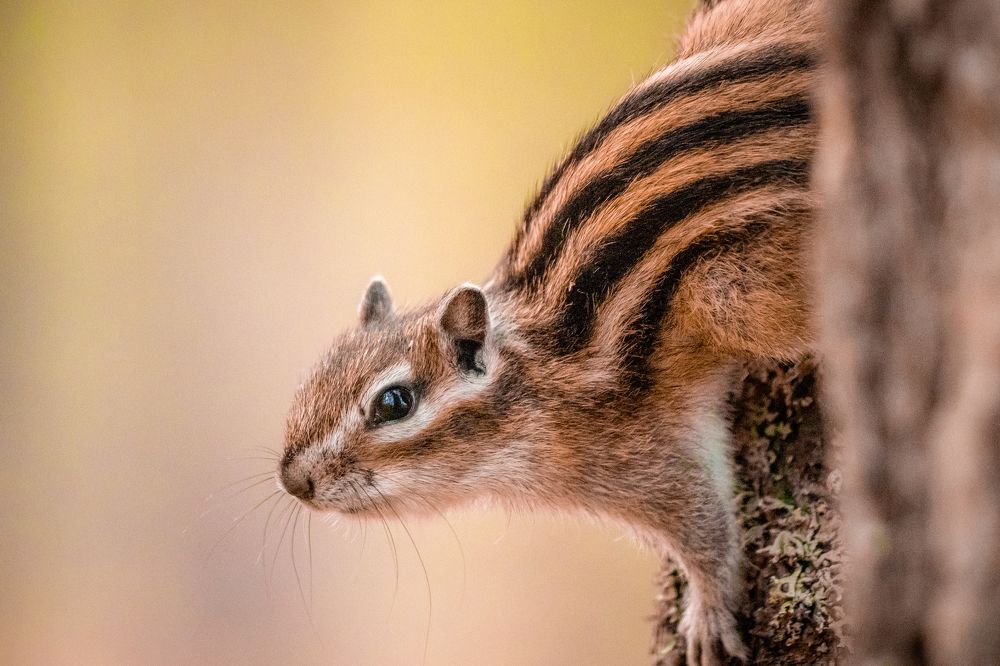 Photograph by Александр Литвинов