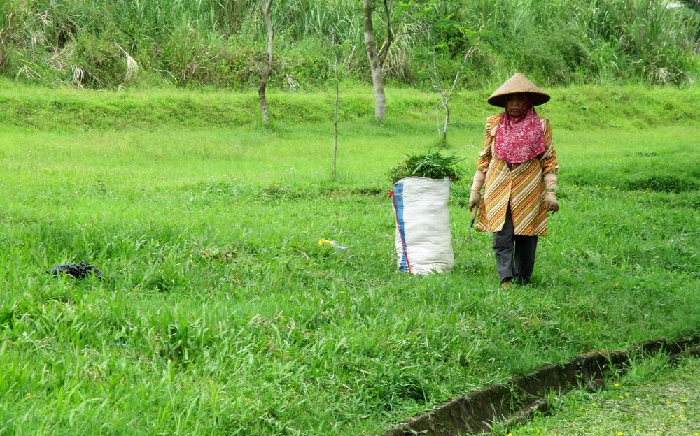 Photograph by Hani Septia Rahmi