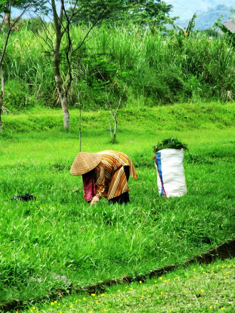 Photograph by Hani Septia Rahmi