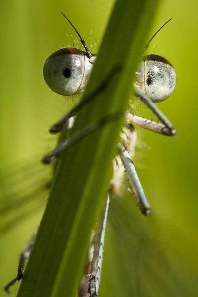 Фотография автора Andrey Pristyazhnyuk