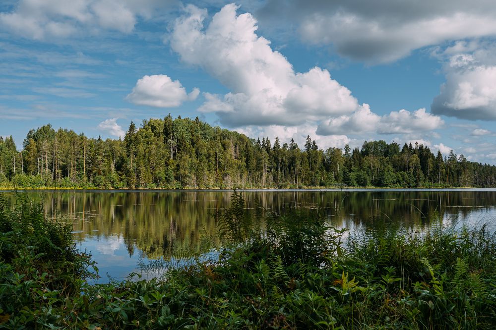 Photograph by Юлия Ефимова