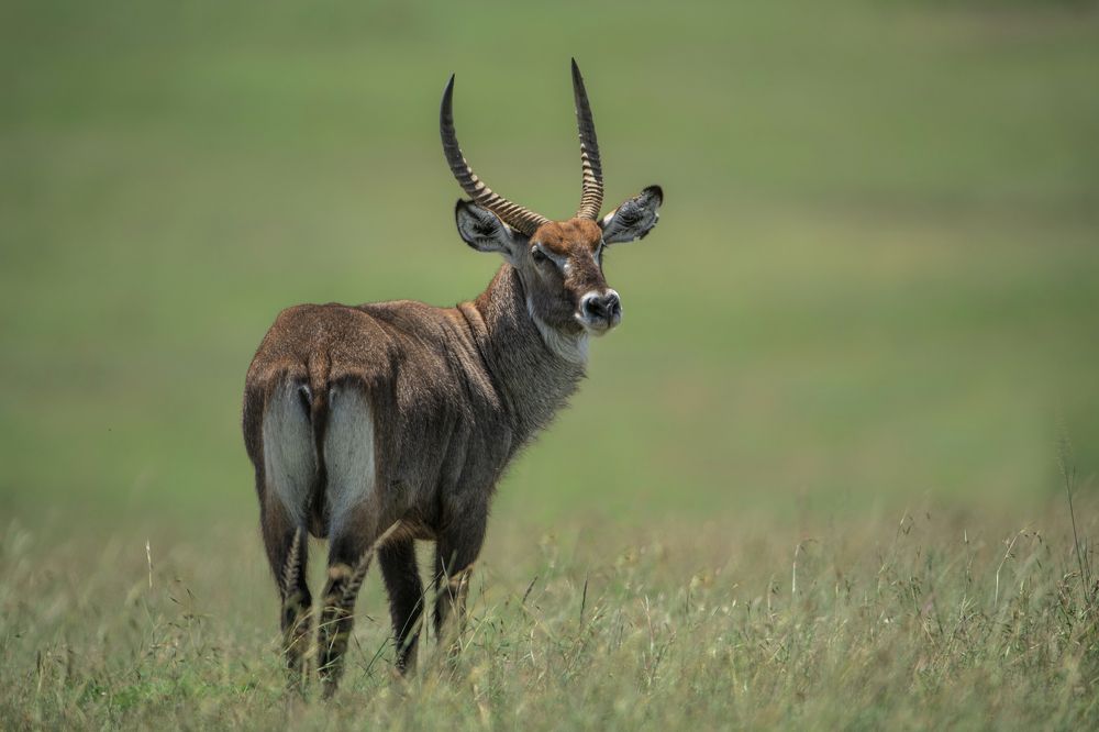 Фотография автора Dilip Shah