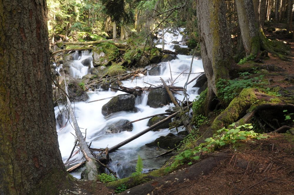 Photograph by Наталия Акимова