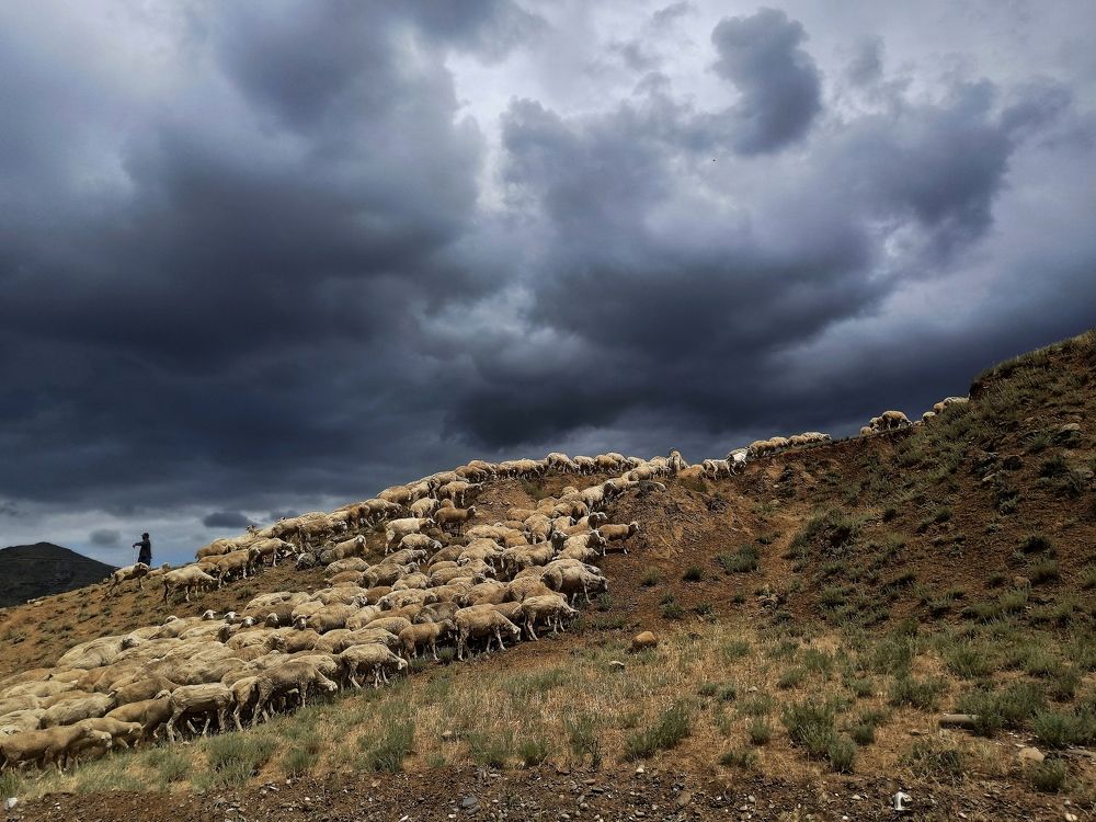 Photograph by Анна Татарских