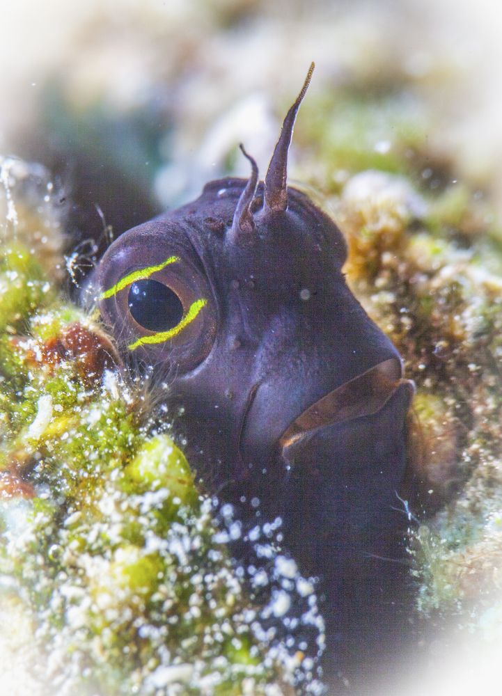 Photograph by Юрий Перевозников