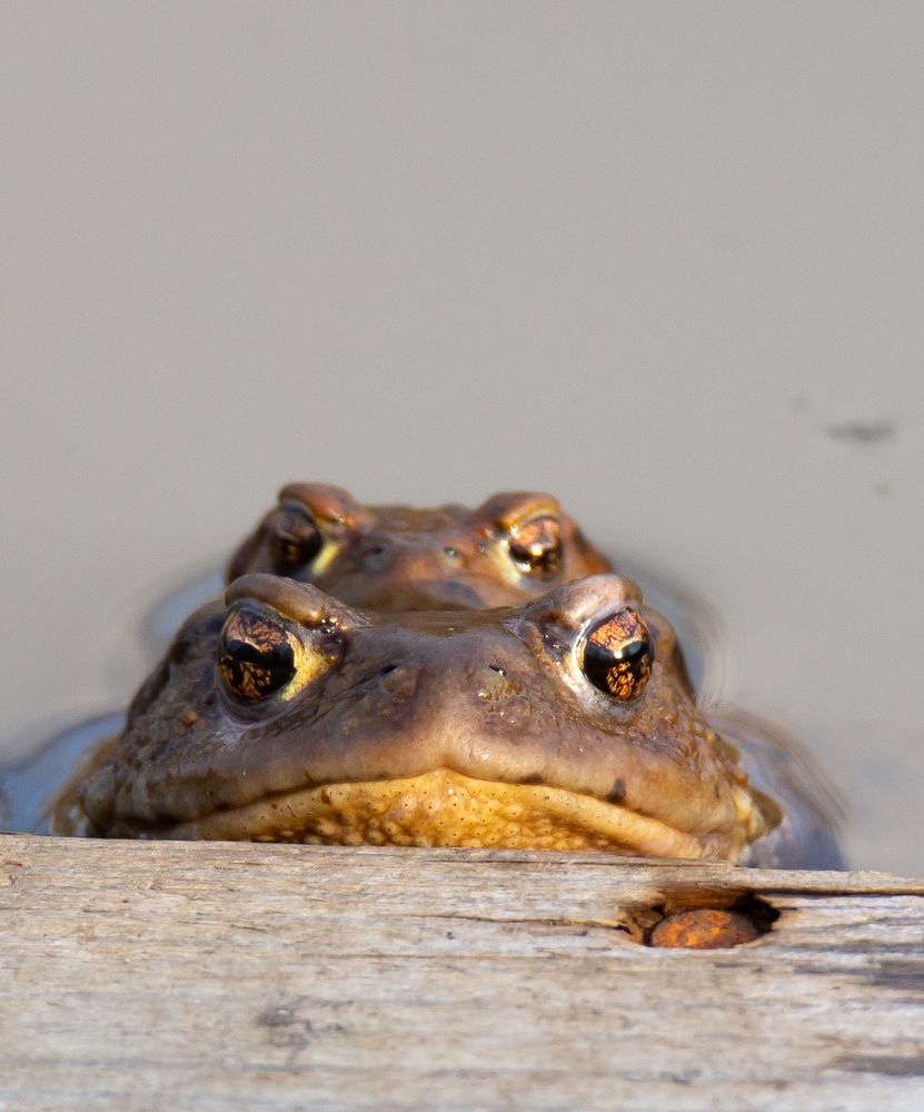 Photograph by Николай Абрамов