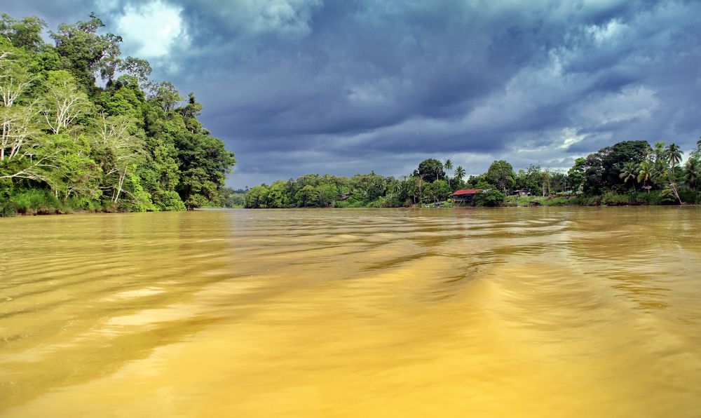 Photograph by Дмитрий Петренко