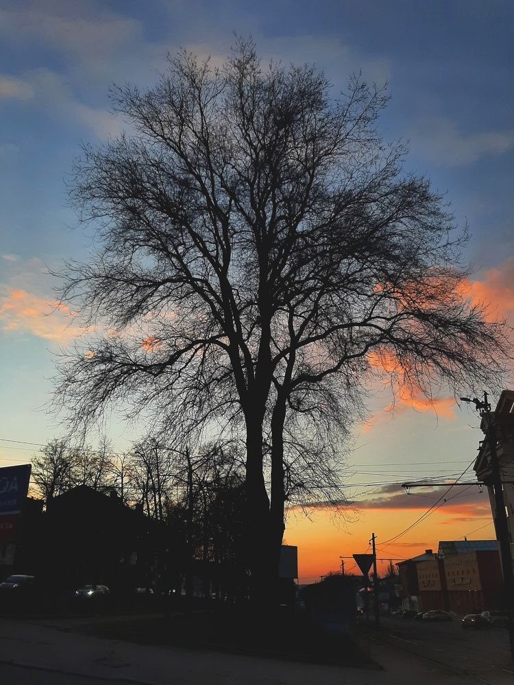 Фотография автора Виктория Мешкова