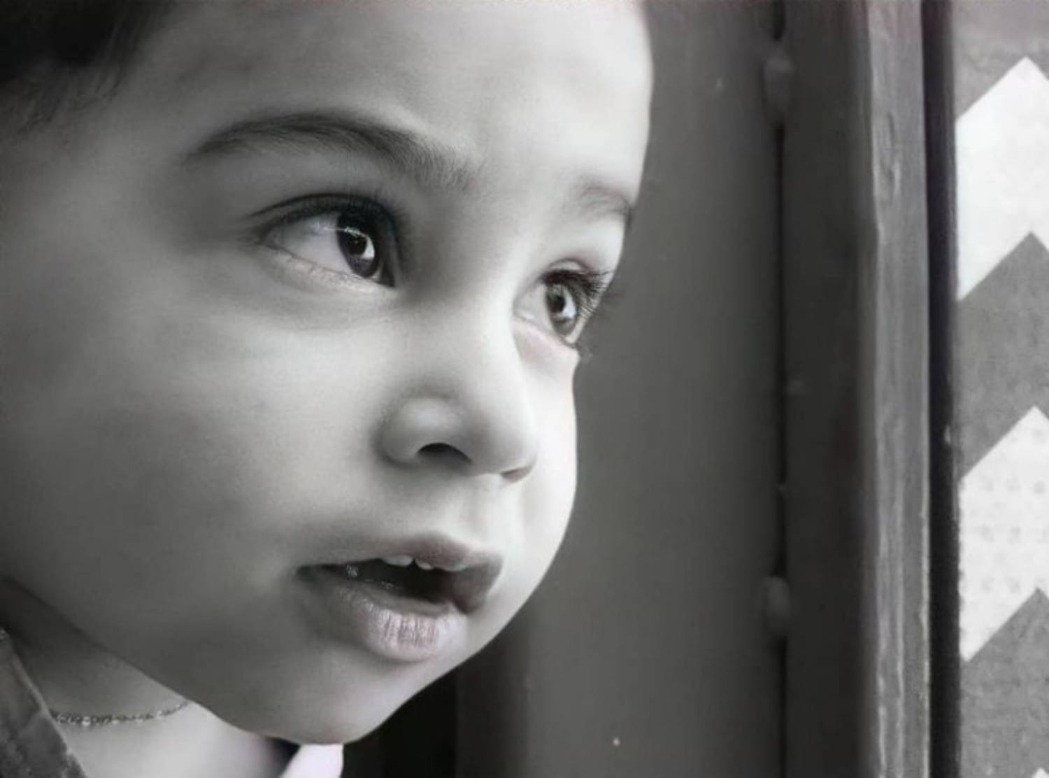 Photo #6273452
