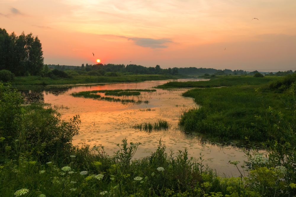 Летают чайки над волнами...