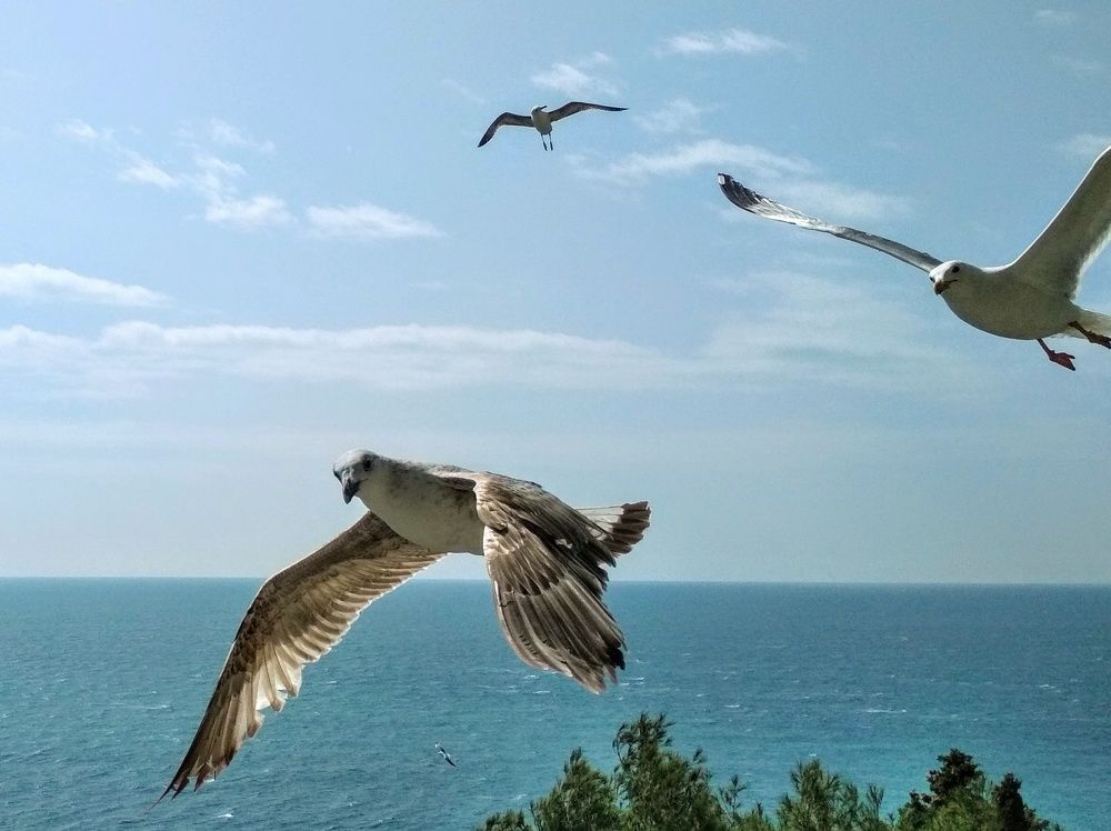 Photograph by Ольга Васильева